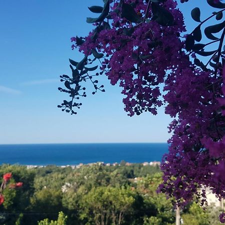 Vila Pogled Petrovac Exterior foto