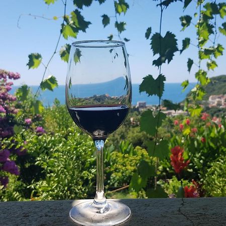 Vila Pogled Petrovac Exterior foto