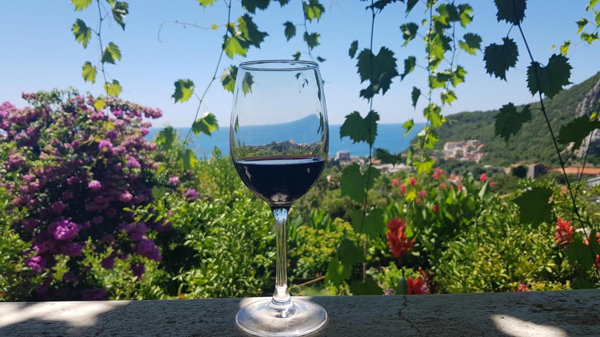 Vila Pogled Petrovac Exterior foto